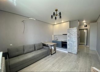 Продаю квартиру студию, 24.9 м2, Ростов-на-Дону, 2-й Атмосферный переулок, 4