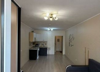 Продаю квартиру студию, 31.1 м2, село Михайловка, Сливовая улица, 3