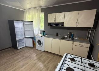 Сдаю дом, 100 м2, село Раздольное, Тепличная улица, 102