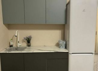 Сдам квартиру студию, 27.1 м2, Краснодар, Душистая улица, 60к2, микрорайон Молодёжный