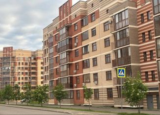 Продаю квартиру студию, 28.5 м2, деревня Ивановское, улица Семёна Гордого, 10