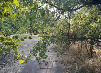 Продам земельный участок, 8 сот., садоводческое товарищество Протон, сектор Б, 363