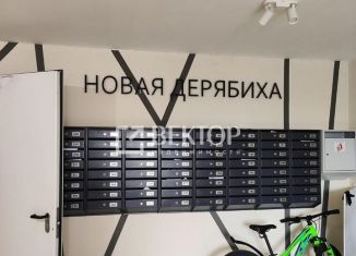 Продаю 2-комнатную квартиру, 54 м2, деревня Дерябиха, деревня Дерябиха, 76