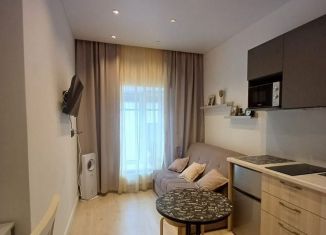 Сдаю в аренду квартиру студию, 18 м2, Санкт-Петербург, 4-я линия Васильевского острова, 51
