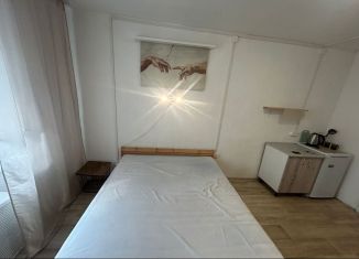 Сдам в аренду квартиру студию, 19 м2, Республика Башкортостан, Российская улица, 151