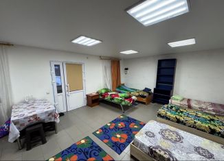 Сдача в аренду дома, 48 м2, Пермский край, Сибирская улица