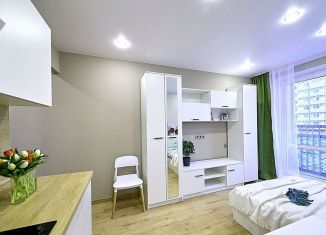 Продаю квартиру студию, 20.4 м2, Мурино, ЖК Лампо, Графская улица, 6к3