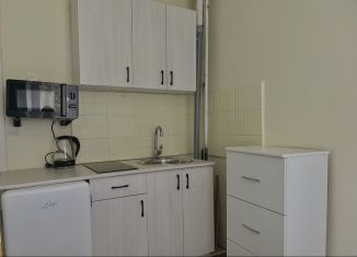 Сдам в аренду квартиру студию, 16 м2, Абакан, улица Кати Перекрещенко, 15