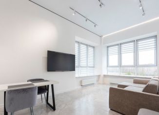 Продается однокомнатная квартира, 53.3 м2, деревня Дударева, улица Сергея Джанбровского, 6