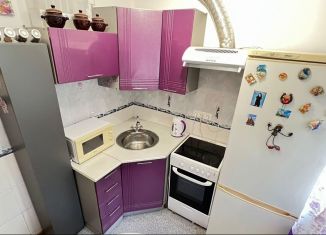 Продам 2-ком. квартиру, 42.8 м2, Новосибирская область, Центральная улица, 9