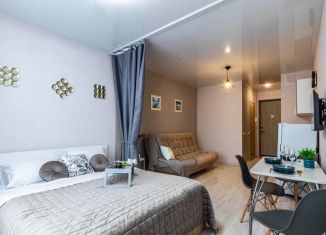 Сдаю в аренду квартиру студию, 27 м2, Екатеринбург, улица Чкалова, 18, ЖК Южные Кварталы