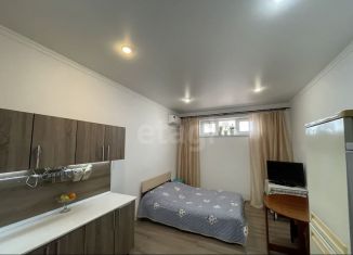 Продам квартиру студию, 24.4 м2, Геленджик, Туристическая улица, 4Гк7, ЖК Горизонт