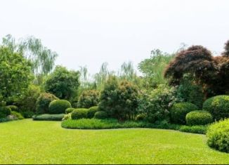 Продажа участка, 8.5 сот., Курганская область, Санаторная улица