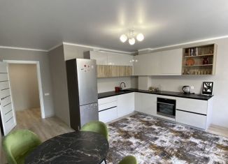 Сдача в аренду 1-комнатной квартиры, 58.6 м2, Ростов-на-Дону, улица Оганова, 20с1, ЖК Сокол на Оганова