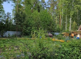 Продажа участка, 11 сот., деревня Решетникова, Салаирский тракт