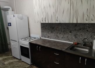 Сдаю в аренду однокомнатную квартиру, 43 м2, Ставрополь, улица Ашихина, 11, микрорайон № 9