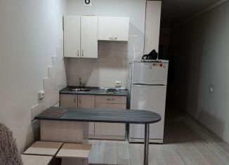 Продается квартира студия, 26 м2, Барнаул, улица Шумакова, 11