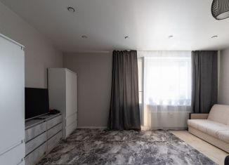 Продается квартира студия, 28.7 м2, Кудрово, Европейский проспект, 13к3, ЖК Прогресс