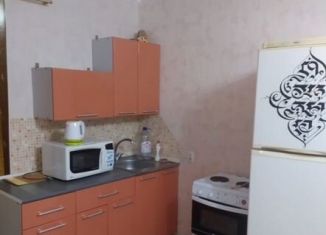 Сдача в аренду квартиры студии, 25 м2, Республика Башкортостан, Молодёжный бульвар, 8