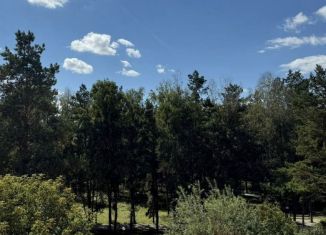 Сдается в аренду 1-комнатная квартира, 29 м2, Искитим, микрорайон Южный, 11