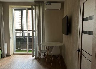 1-комнатная квартира в аренду, 42 м2, Новосибирск, улица Дуси Ковальчук, 248/1, ЖК Заельцовский