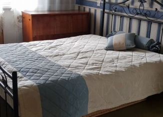 Аренда 2-комнатной квартиры, 55 м2, Томская область, улица Елизаровых, 4