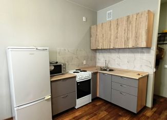 Аренда 1-ком. квартиры, 33 м2, Верхняя Пышма, улица Сапожникова, 3А