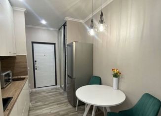 Продам квартиру студию, 24.7 м2, Ростов-на-Дону, улица Ерёменко, 112/1с2