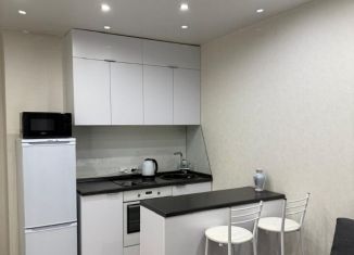 Сдам квартиру студию, 25 м2, Новосибирск, Танковая улица, 32, ЖК Астра