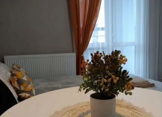 Аренда квартиры студии, 24.5 м2, Пермь, улица Елькина, 14