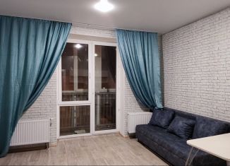 Сдам в аренду квартиру студию, 28 м2, Республика Башкортостан, улица Героя Зорина, 3