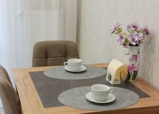 Аренда однокомнатной квартиры, 42.5 м2, Тула, улица Седова, 20Г, Привокзальный территориальный округ