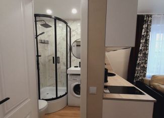 Продаю квартиру студию, 16.5 м2, Новгородская область, проспект Александра Корсунова, 36к1