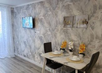 Сдаю квартиру студию, 26 м2, Саратов, улица имени Николая Чихарева, 10, ЖК Радуга