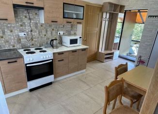 Сдается в аренду дом, 60 м2, Санкт-Петербург, Гагаринская улица, 15