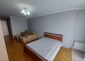 Однокомнатная квартира в аренду, 56 м2, Пятигорск, Оранжерейная улица, 21к1