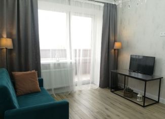 Сдача в аренду 1-комнатной квартиры, 37 м2, Таганрог, улица Сергея Шило, 261