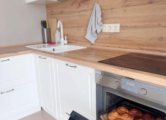 Аренда 3-комнатной квартиры, 100 м2, Сочи, Виноградная улица, 19