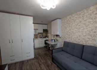 Двухкомнатная квартира на продажу, 31.5 м2, село Сигаево, улица Лермонтова, 17