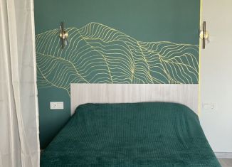 Сдача в аренду квартиры студии, 38 м2, Саратов, улица имени Евгения Долгина, 4