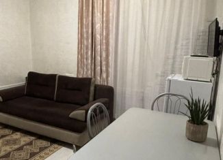 Аренда однокомнатной квартиры, 33 м2, Сириус, Новогорная улица, 6