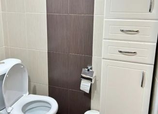 Сдается квартира со свободной планировкой, 43.8 м2, Краснодар, улица Селезнёва, 4/9, микрорайон Черемушки