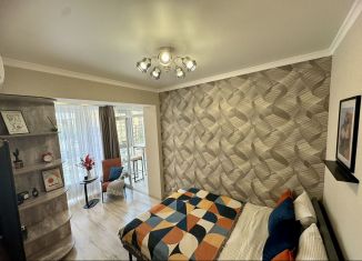 1-комнатная квартира в аренду, 30 м2, Ставрополь, улица Пирогова