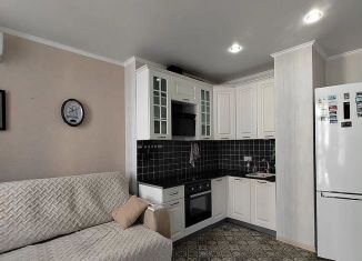 Сдача в аренду однокомнатной квартиры, 42 м2, Ростов-на-Дону, Стабильная улица, 3с1