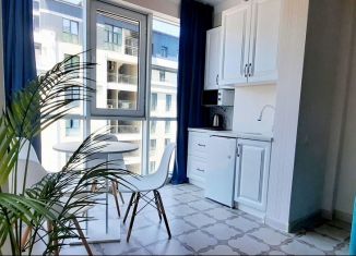 Сдается квартира студия, 30 м2, Сочи, Коммунальная улица, 41Б