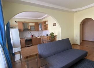 2-ком. квартира в аренду, 60 м2, Пермь, улица Ленина, 100