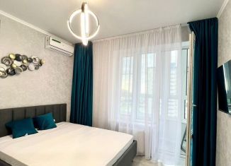 Сдается в аренду 1-комнатная квартира, 35.7 м2, Краснодар, Воронежская улица, микрорайон Черемушки