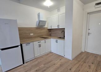 Сдается 1-ком. квартира, 30.5 м2, деревня Новое Девяткино, Главная улица, 8