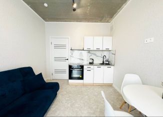 Сдача в аренду однокомнатной квартиры, 35 м2, Татарстан, улица Ярдем, 25