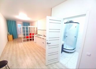 Сдается квартира студия, 25 м2, Республика Башкортостан, улица Рудольфа Нуреева, 7